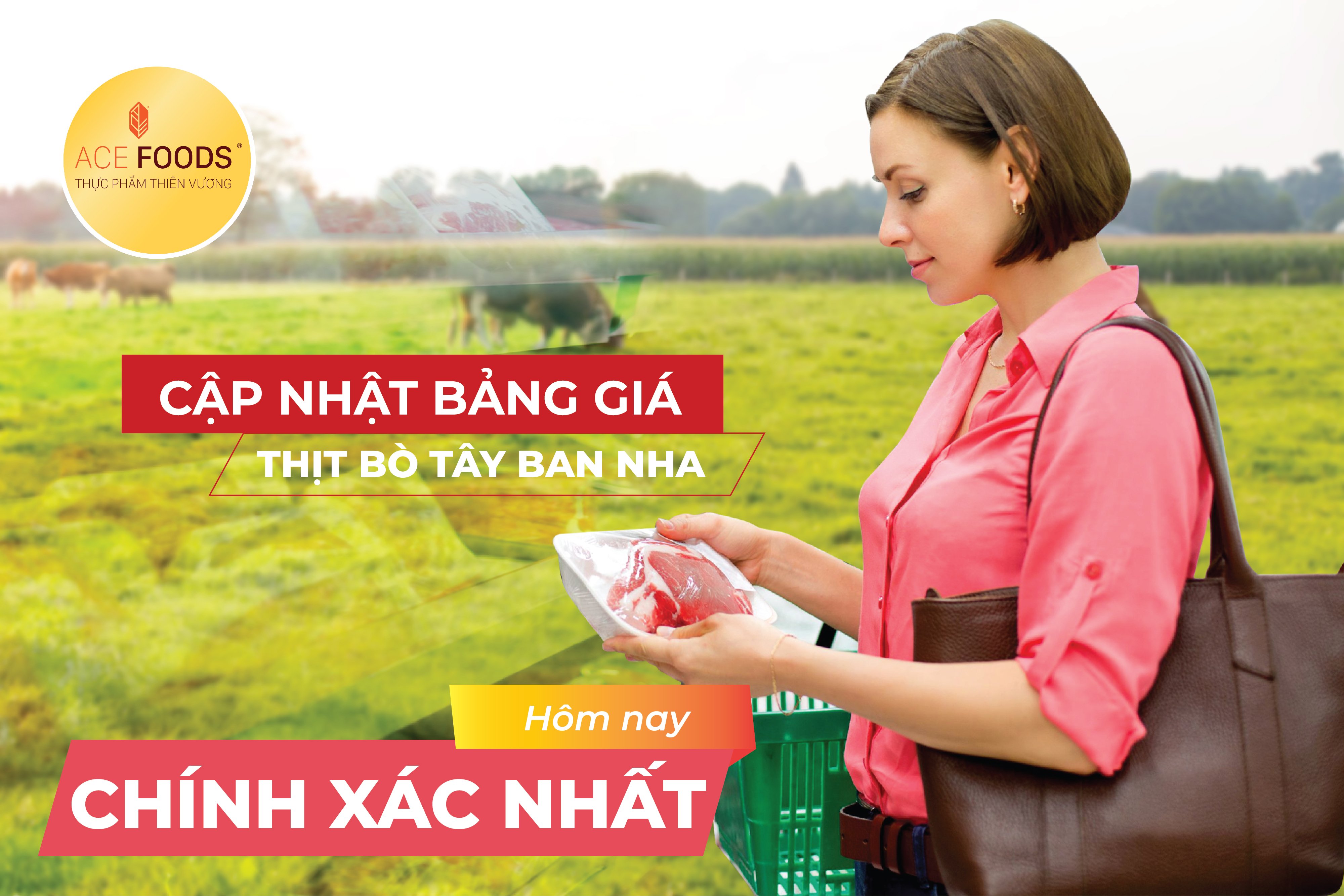 Cập nhật bảng giá thịt bò Tây Ban Nha hôm nay, chính xác nhất