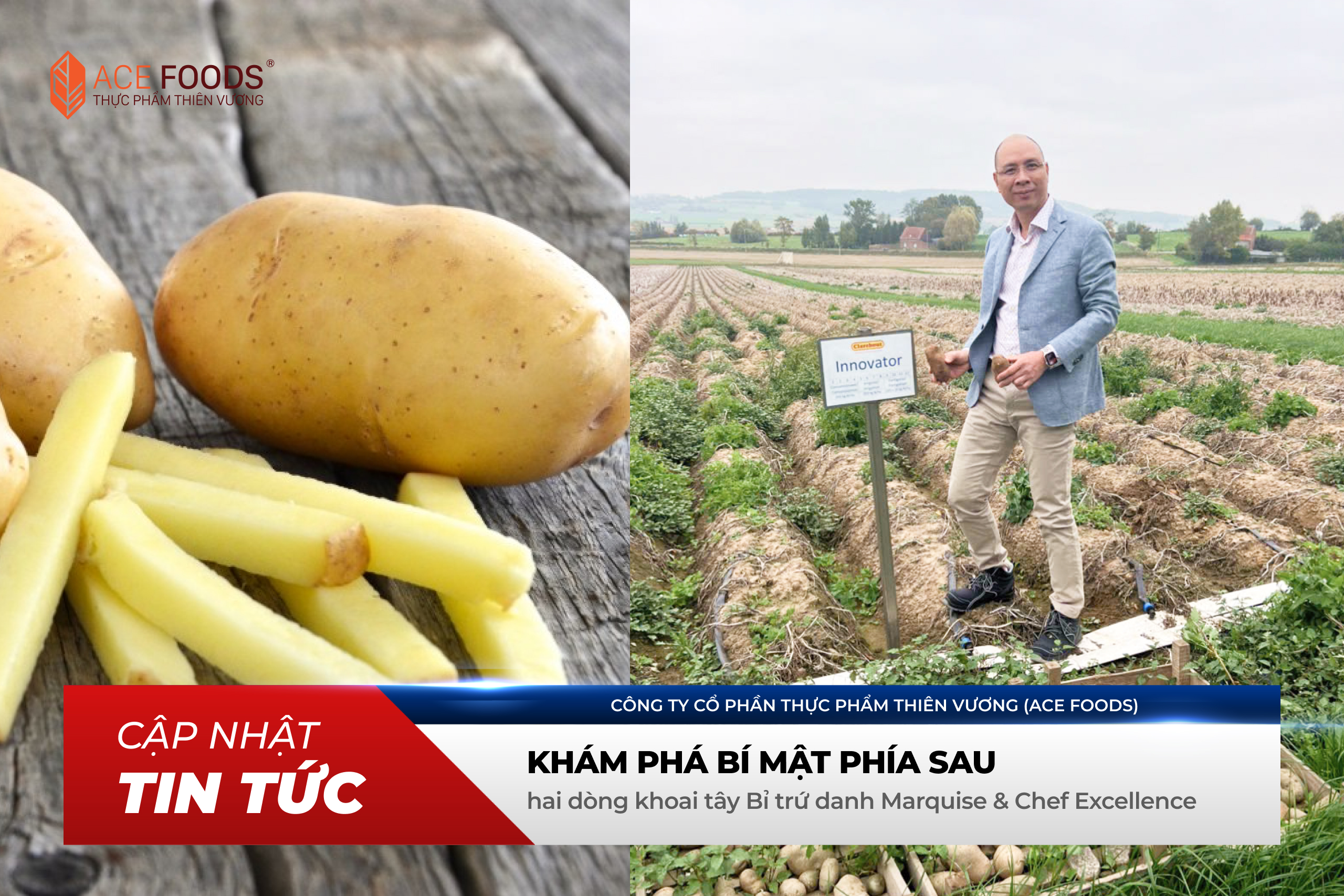 Khám phá bí mật phía sau hai dòng khoai tây Bỉ trứ danh Marquise & Chef Excellence