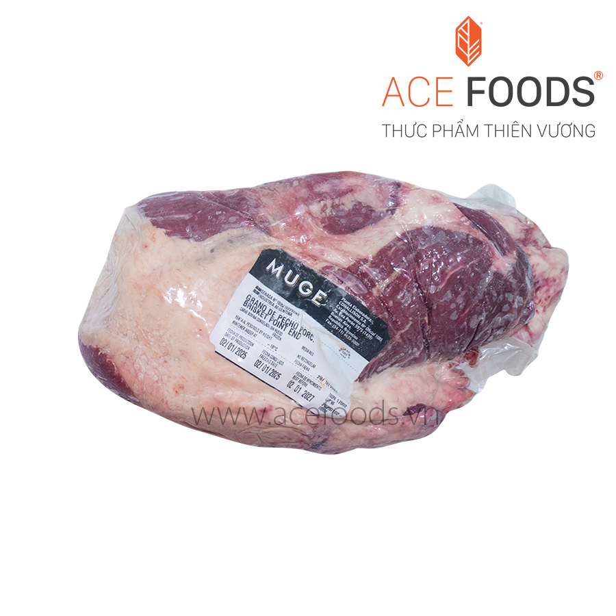 GẦU BÒ MUGE ARGENTINA