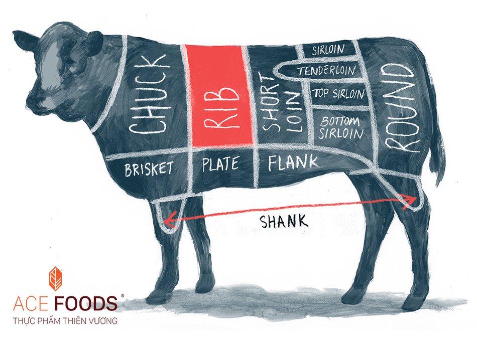 Sơ đồ minh họa vị trí của Sườn bò rút xương Wagyu Mỹ