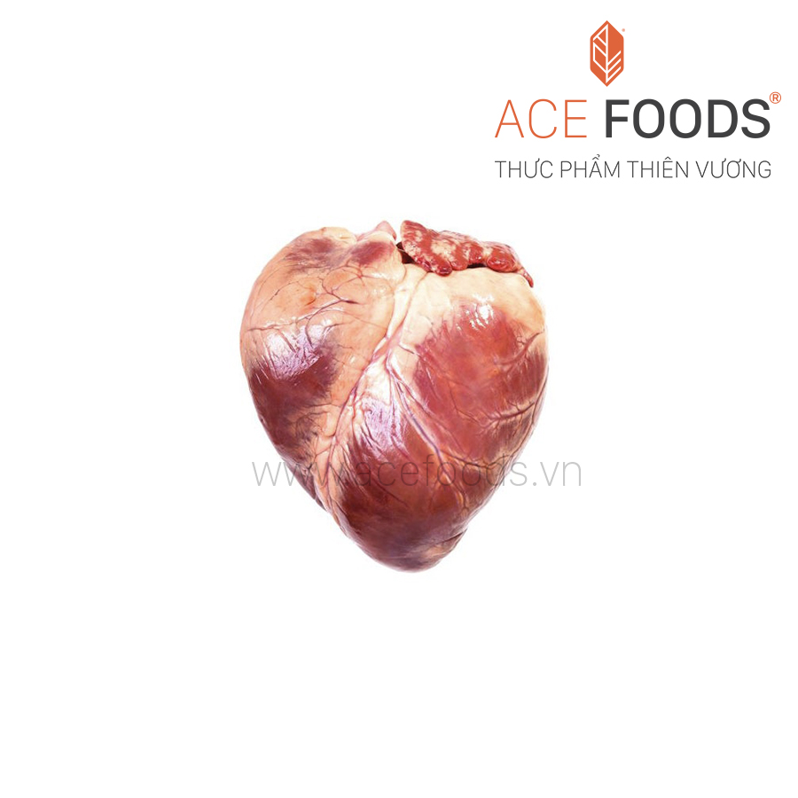 Tim heo Tây Ban Nha Patel