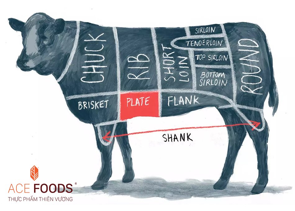 Sơ đồ minh họa vị trí của Diềm thăn bò Mỹ St.Helens