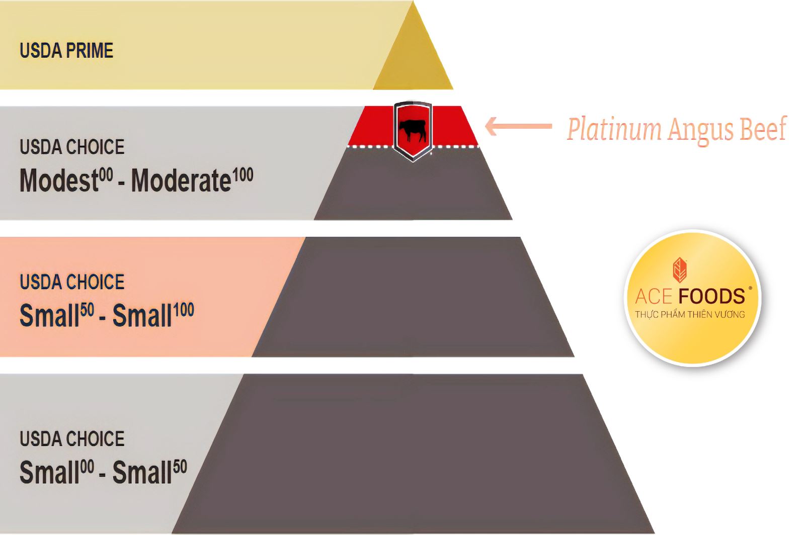 Đồ thị minh họa xếp hạng của thịt bò platinum angus
