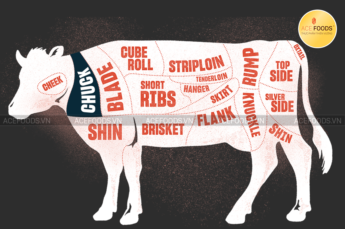 Sơ đồ minh họa vị trí của Nạc vai bò Tây Ban Nha