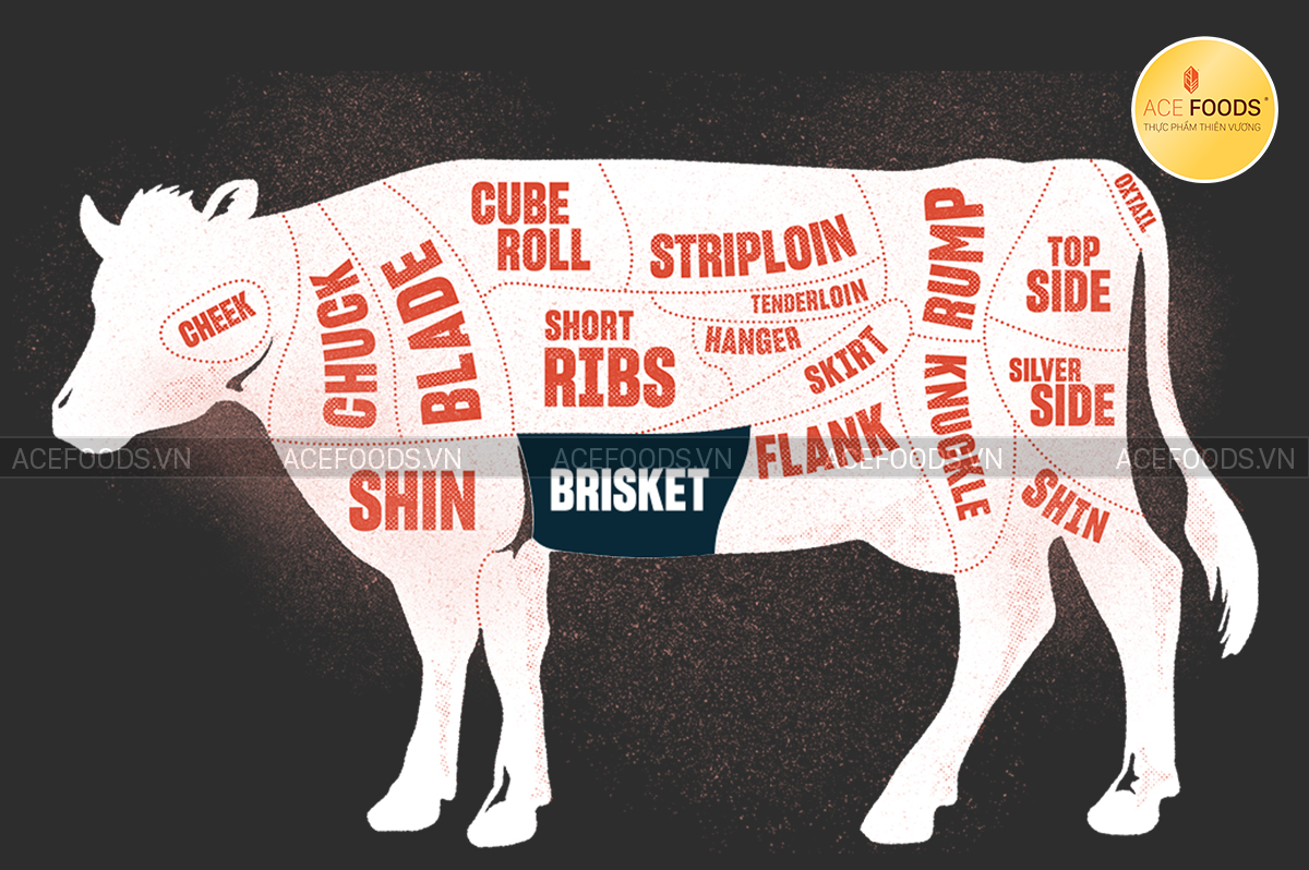 Sơ đồ minh họa Gầu bò Tây Ban Nha