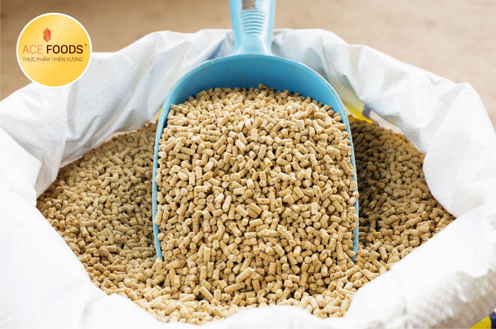 Sản xuất thức ăn gia súc tại tập đoàn Miratorg