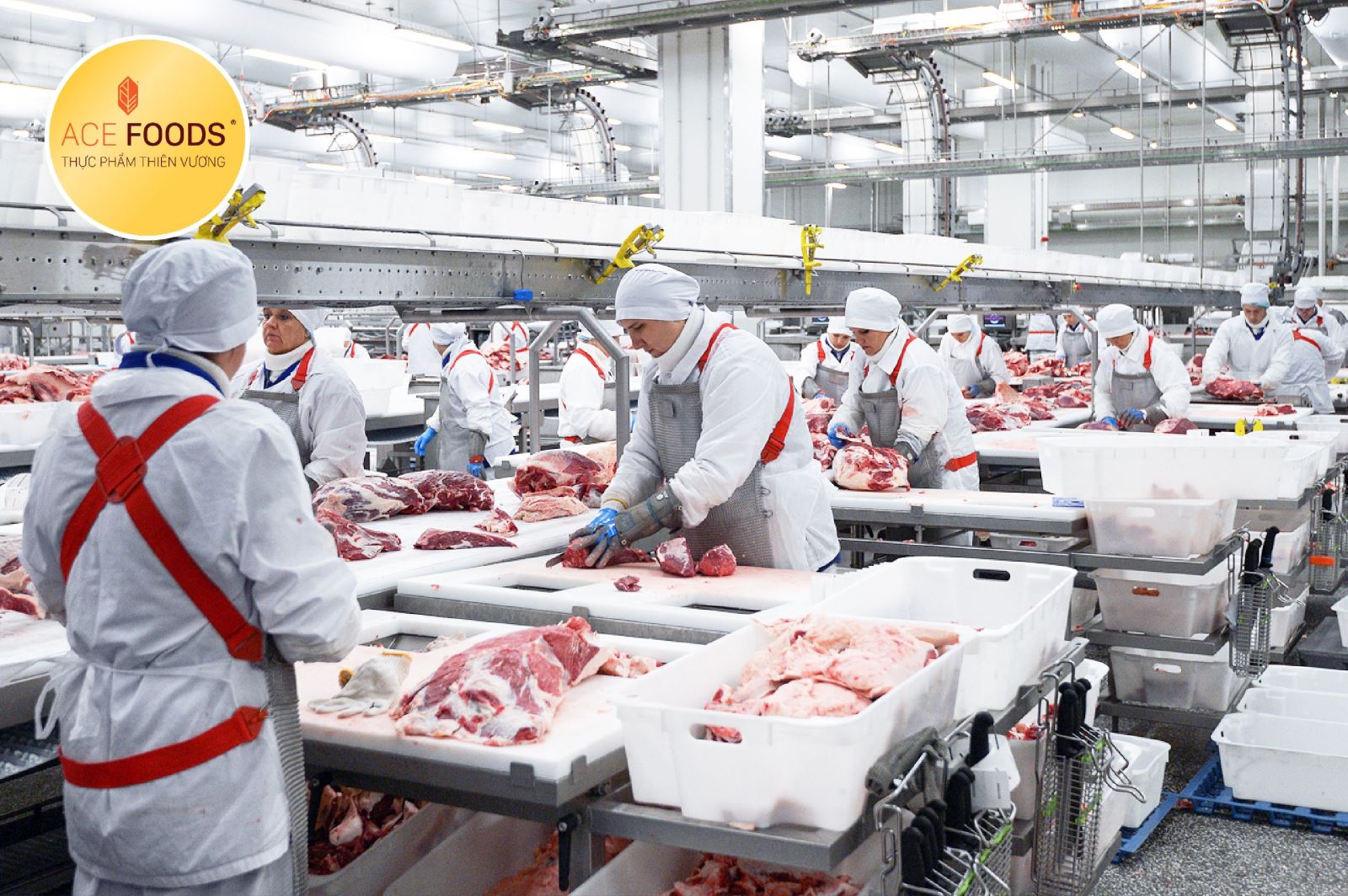 Tập đoàn Miratorg khai thác đa lĩnh vực trong sản xuất