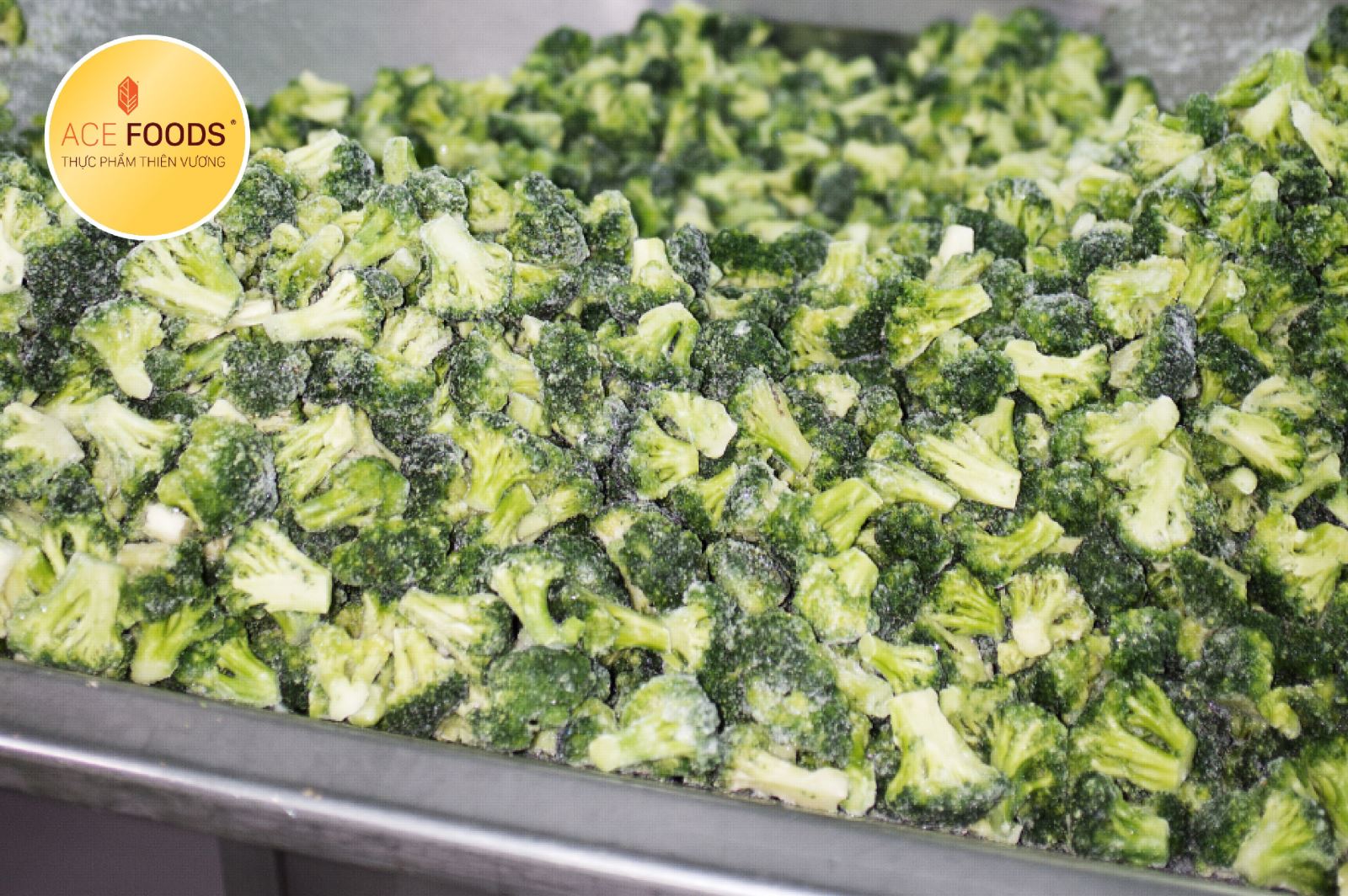 Sản xuất rau đông lạnh - bước tiến mới trong công nghệ của tập đoàn Miratorg