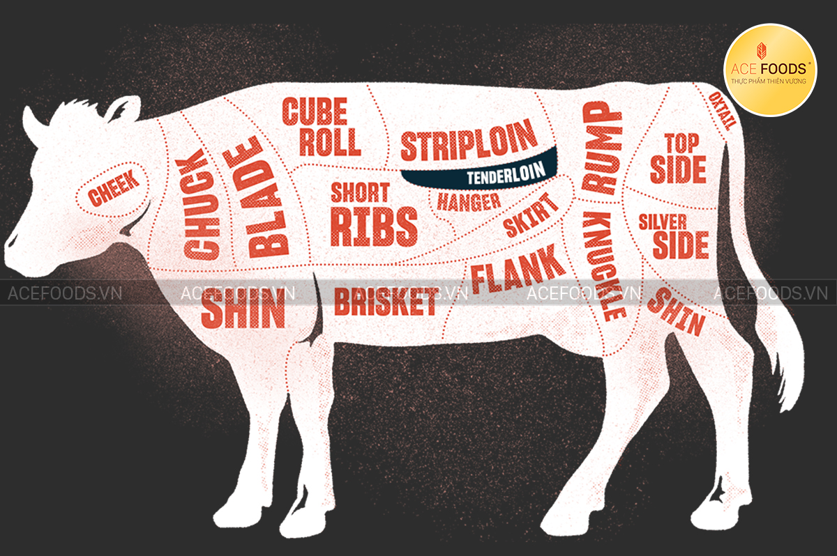 Sơ đồ minh họa vị trí của thăn nõn bò Tây Ban Nha