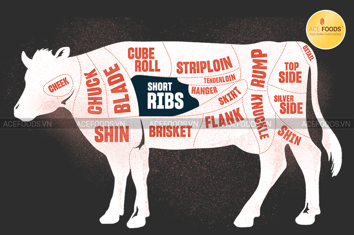 Sơ đồ minh họa vị trí thăn vai bò Tây Ban Nha